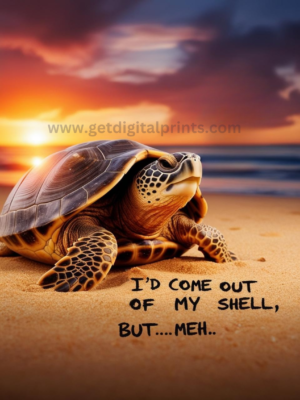 I'd Come Out of My Shell Turtle Poster