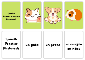 Spanish Animal & Nature Flash Cards