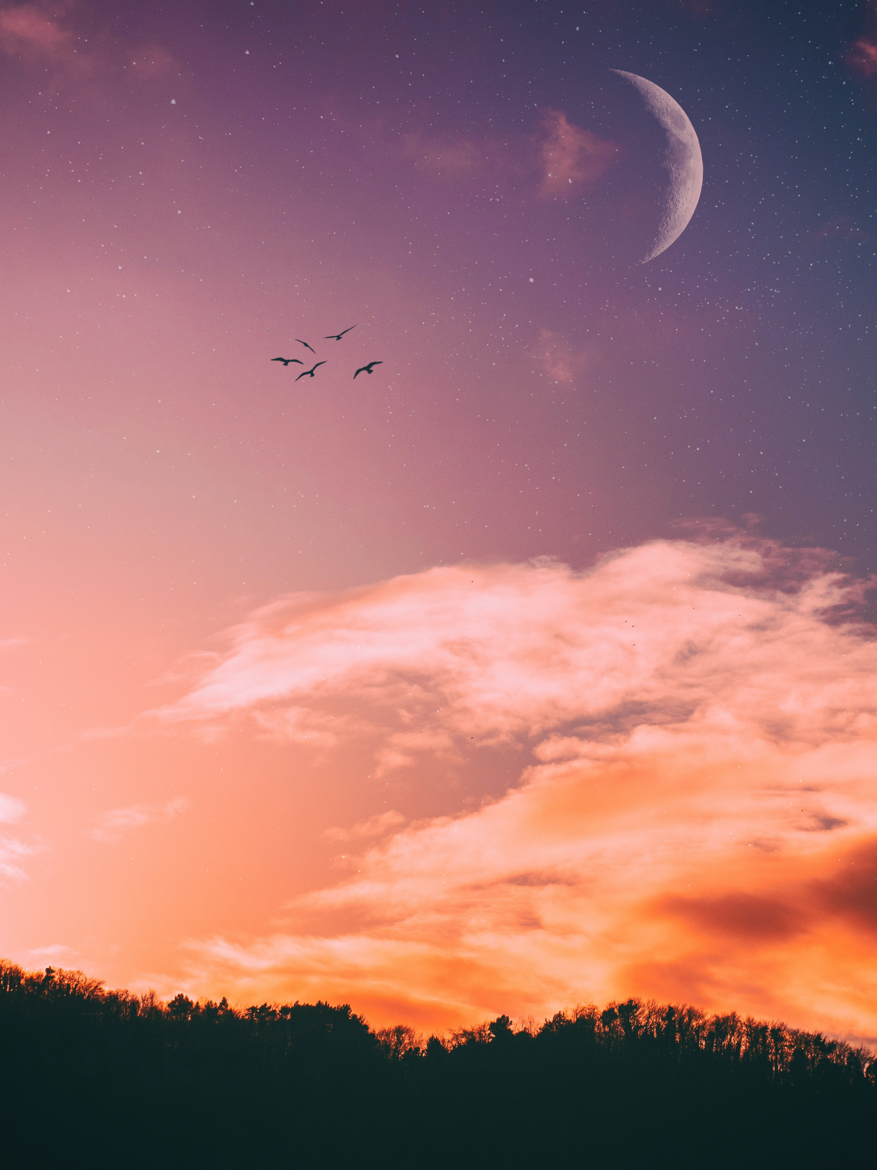 Dreamy Moonlit Sky Poster (18×24) – Pink Sunset Clouds & Birds Aesthetic Wall Art