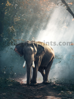 Majestic Elephant Forest Poster – Dramatic Wildlife Elephant Photography Wall Art